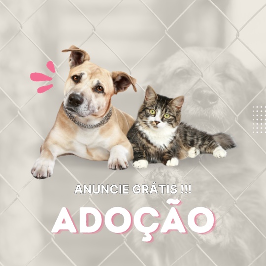 Adoção de cachorros