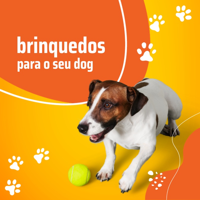 Brinquedos para cães