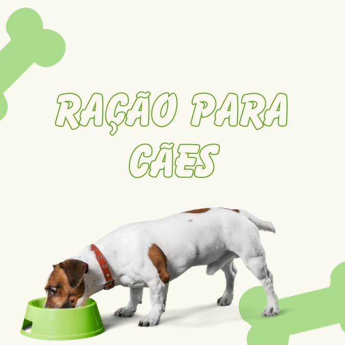 Ração de Cachorro